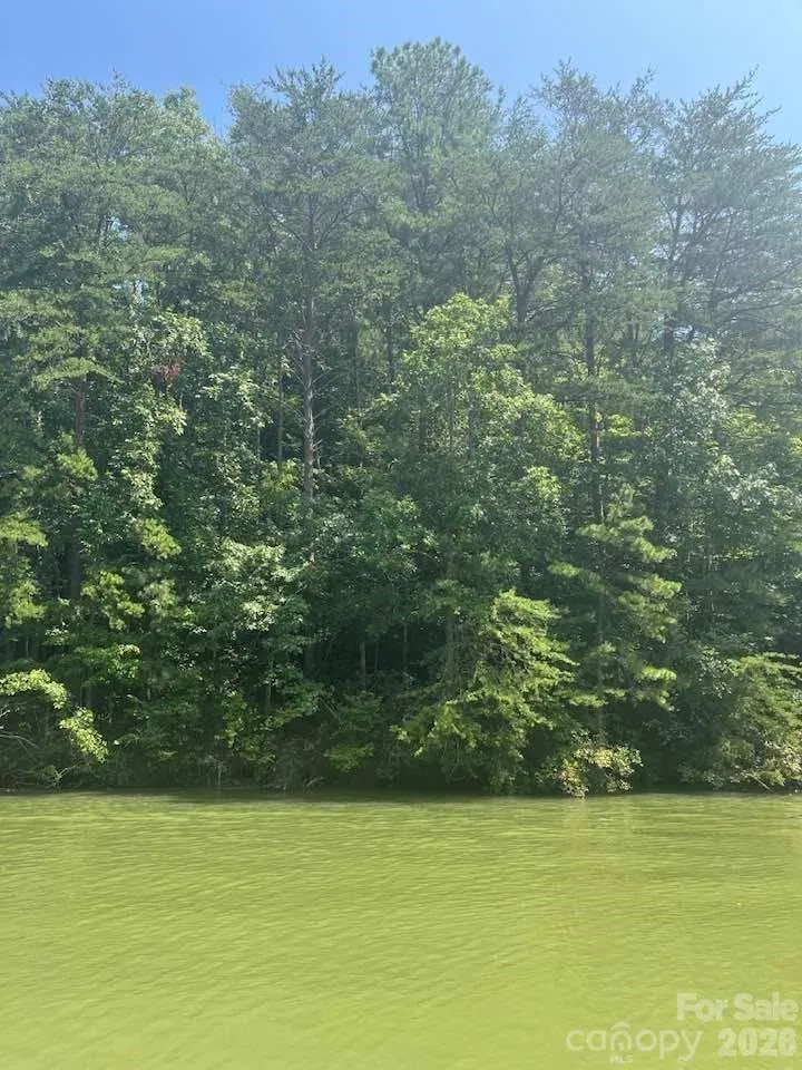 00 Canoe Drive #44 Mill Spring, NC 28756