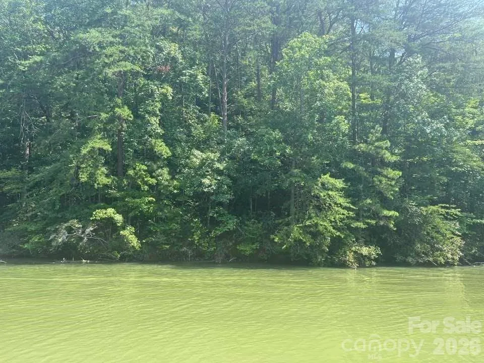 00 Canoe Drive #44 Mill Spring, NC 28756