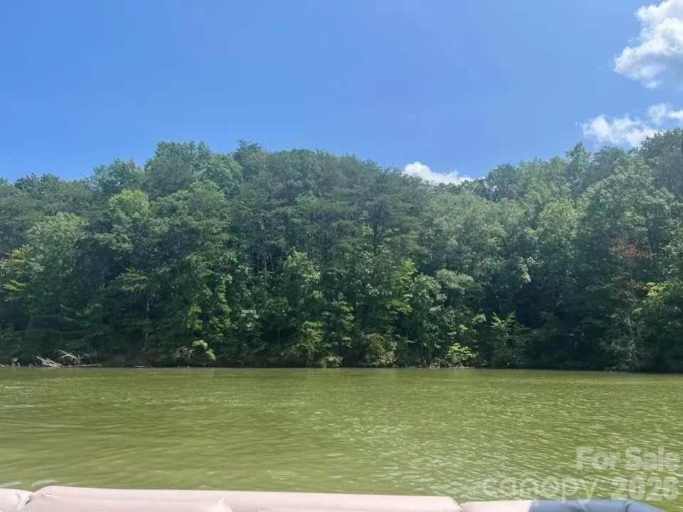 00 Canoe Drive #44 Mill Spring, NC 28756