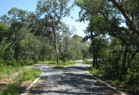 SR 370 Alligator Point, FL 32346