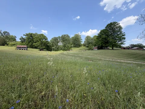 5170 Steam Mill Hollow Road Tract 2