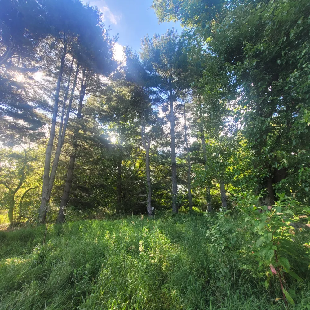 6797 Devils Lake Highway Manitou Beach, MI 49253