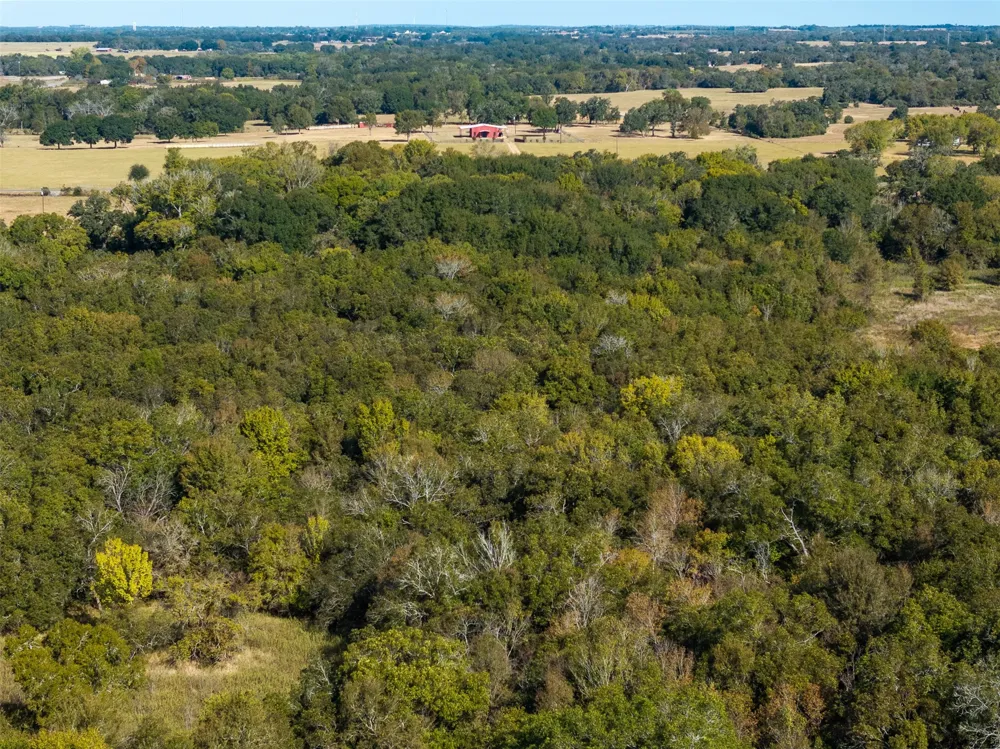 3211 FM 3403 Lincoln, TX 78948