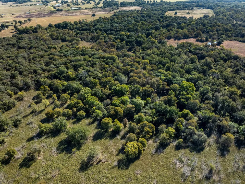 3211 FM 3403 Lincoln, TX 78948
