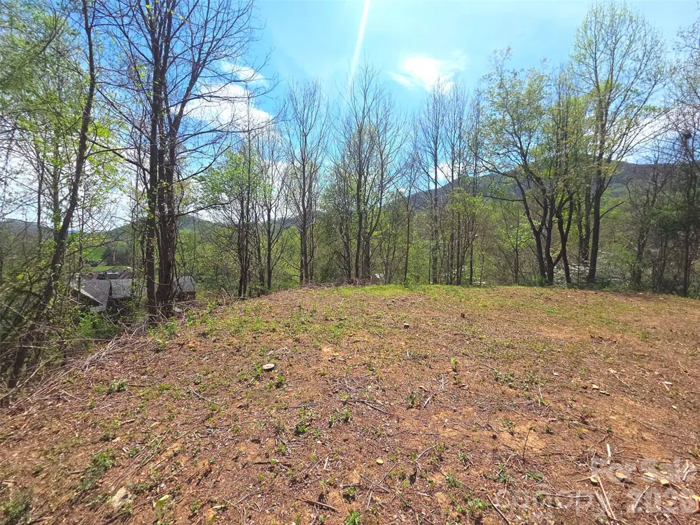 50 Turtle Rock Lane #6 Waynesville, NC 28785
