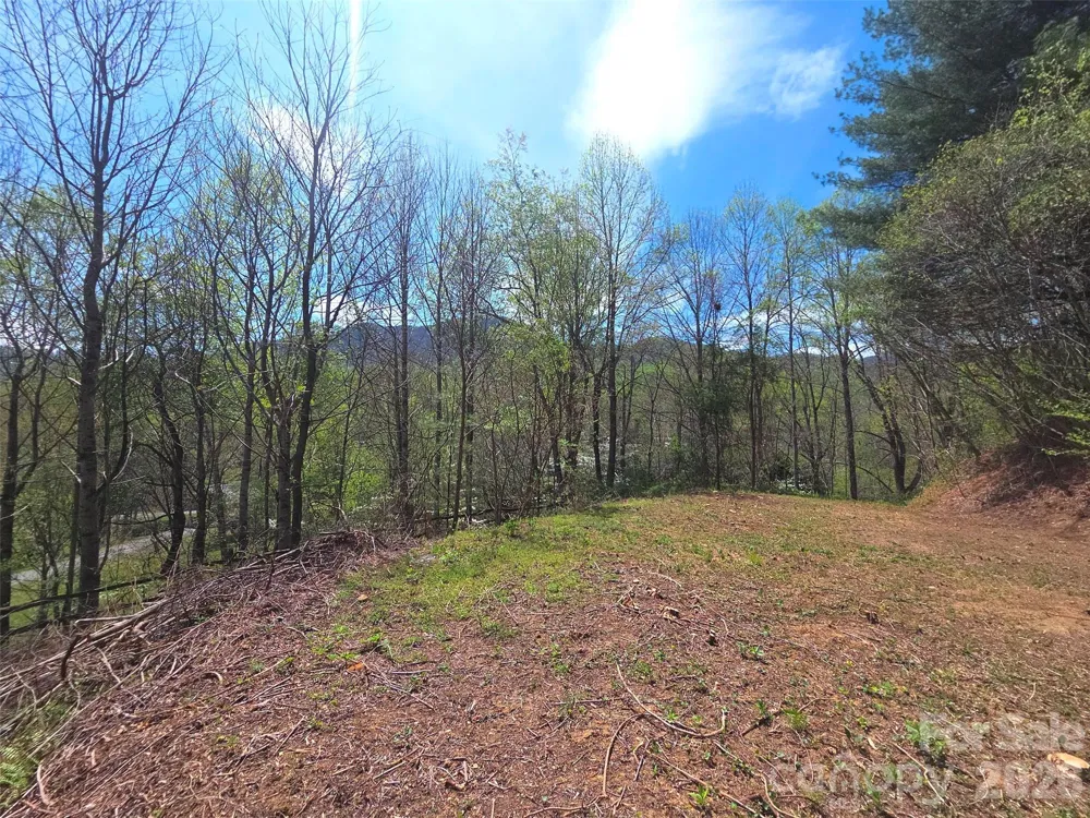 50 Turtle Rock Lane #6 Waynesville, NC 28785