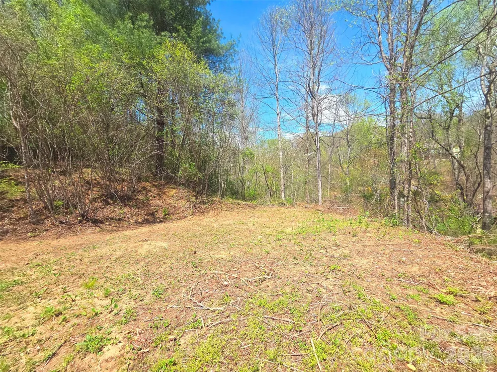 50 Turtle Rock Lane #6 Waynesville, NC 28785