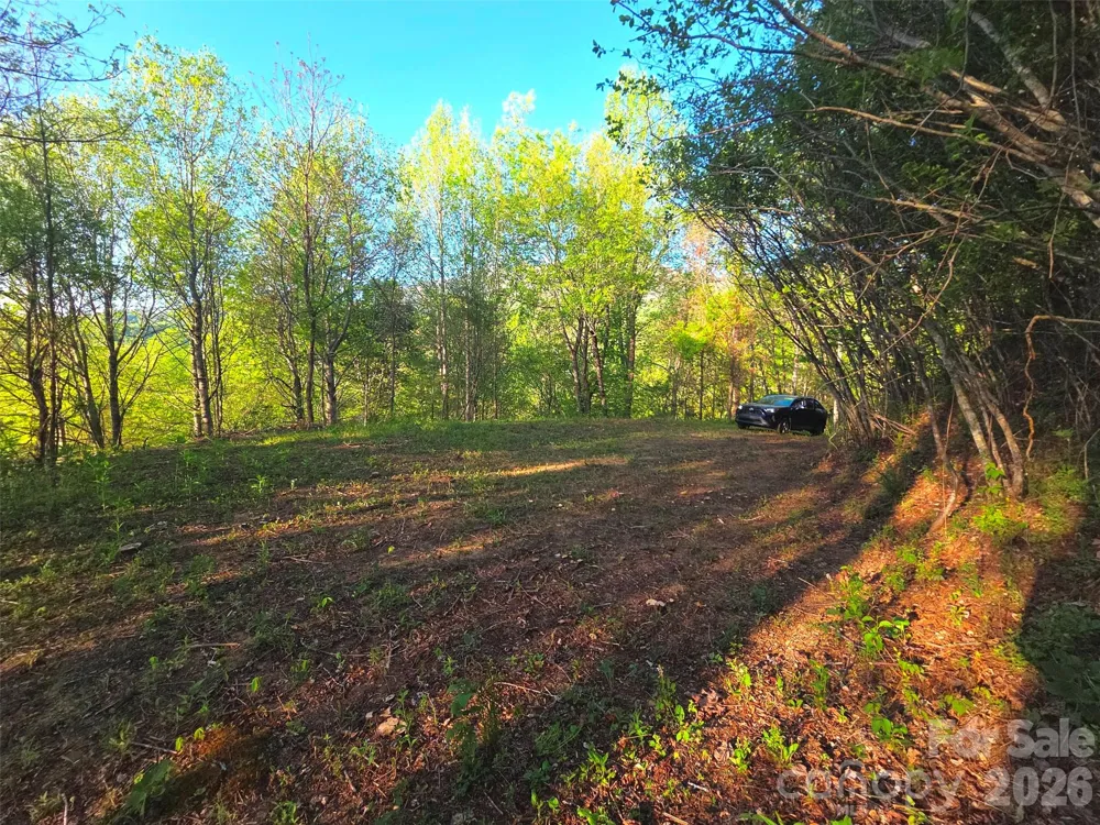 50 Turtle Rock Lane #6 Waynesville, NC 28785