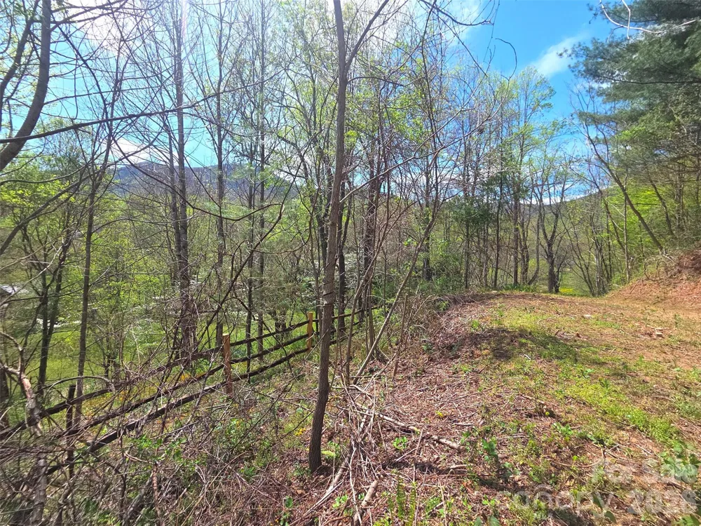 50 Turtle Rock Lane #6 Waynesville, NC 28785