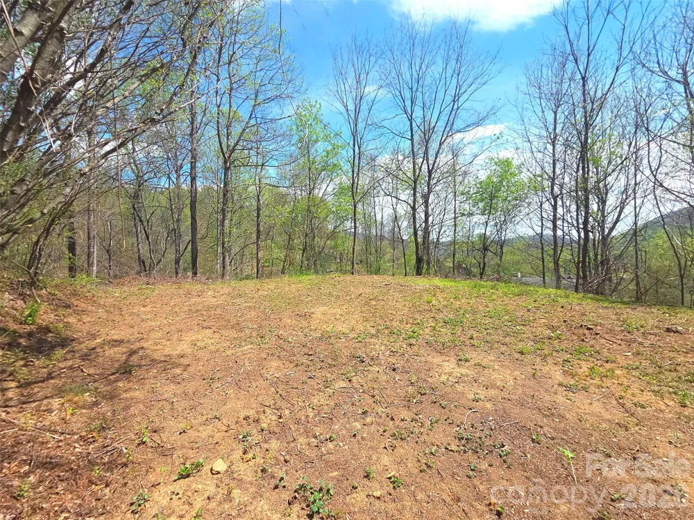 50 Turtle Rock Lane #6 Waynesville, NC 28785