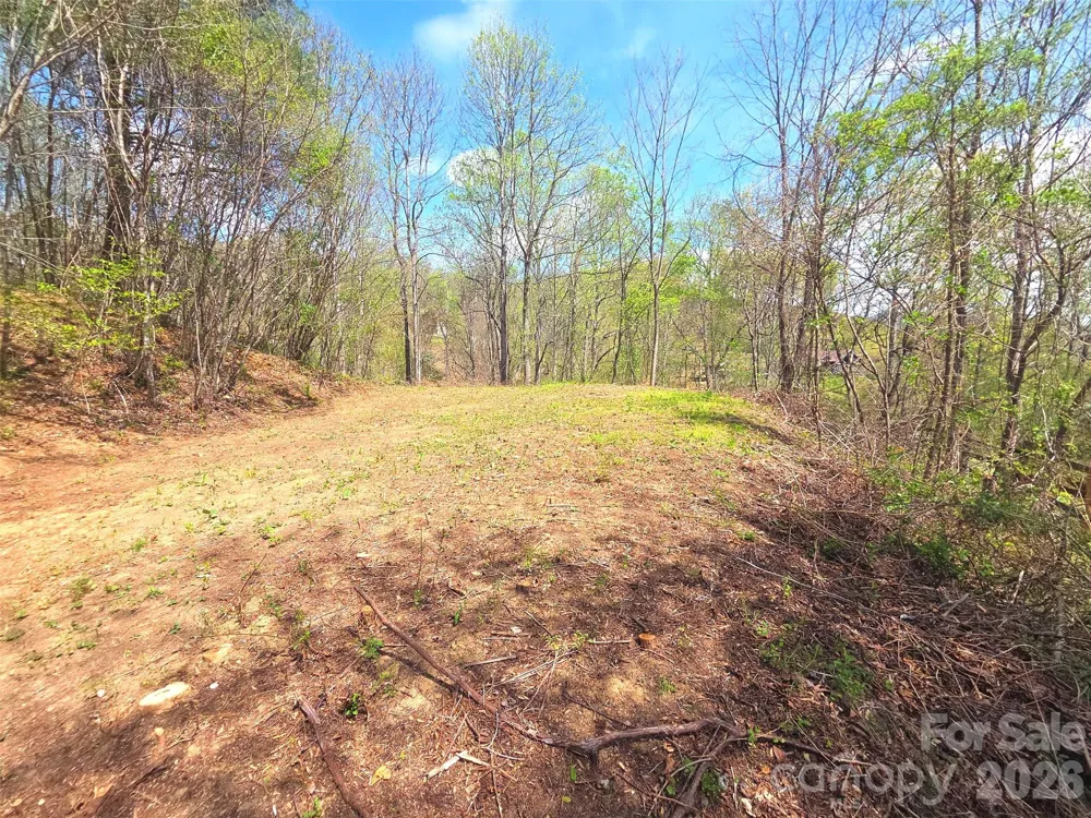 50 Turtle Rock Lane #6 Waynesville, NC 28785