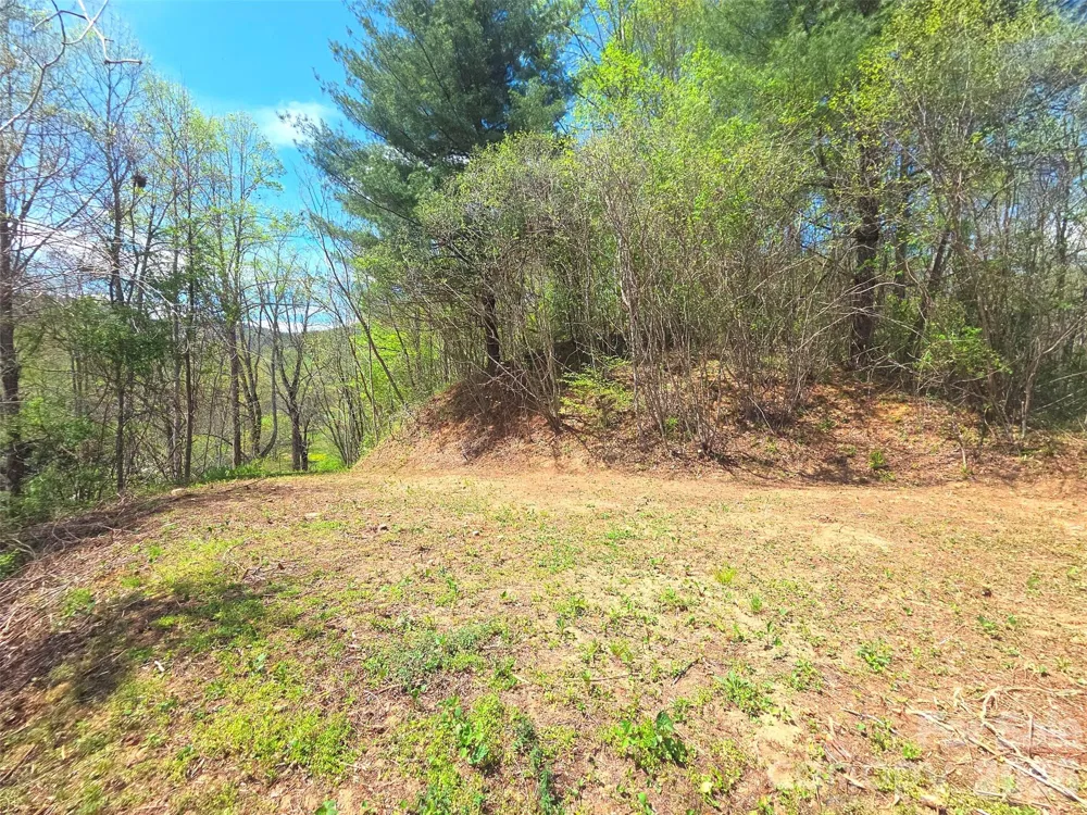 50 Turtle Rock Lane #6 Waynesville, NC 28785