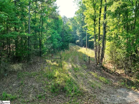 13 Cody Lane