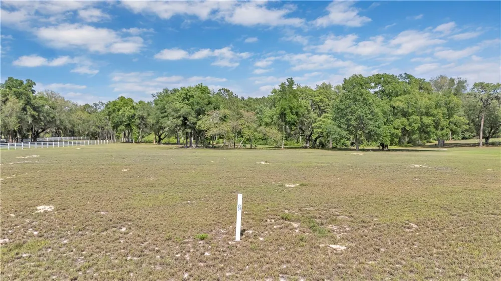 LOT 67, GRAND OAK LANE Tavares, FL 32778