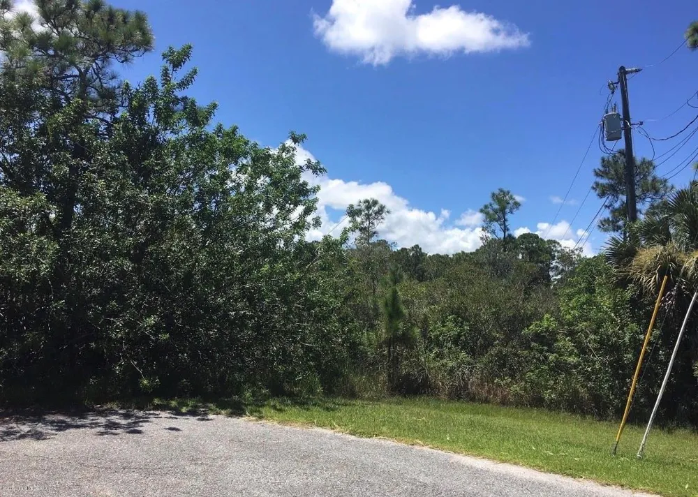 26 LUTHER DRIVE Palm Coast, FL 32137