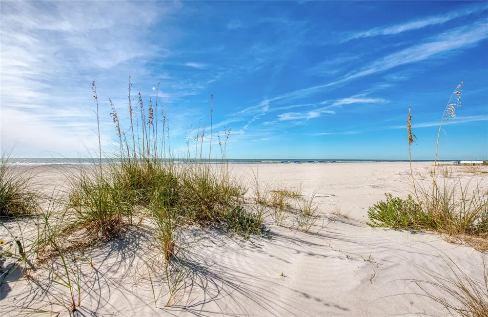 10365 PARADISE BOULEVARD #9 Treasure Island, FL 33706