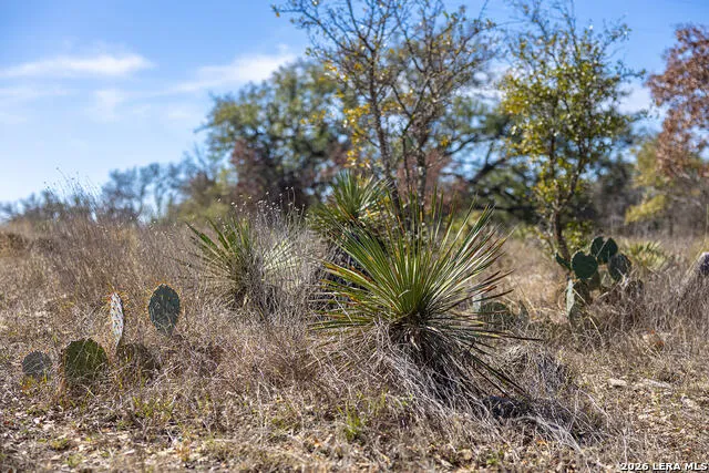 6623 Starks Mason, TX 76856