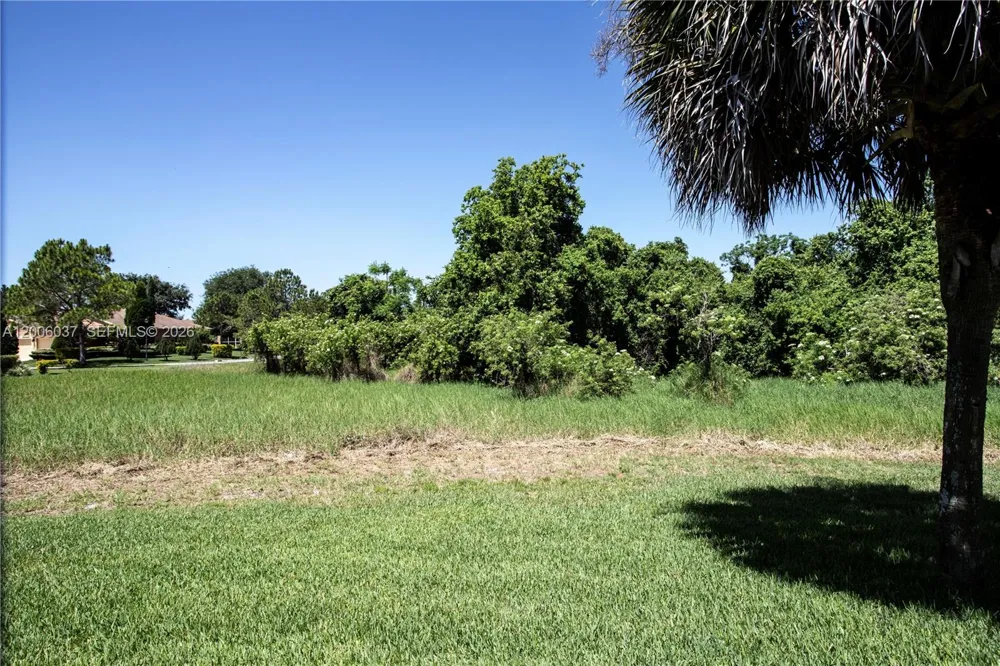11413 MOUNTAIN BAY DR Riverview, FL 33569