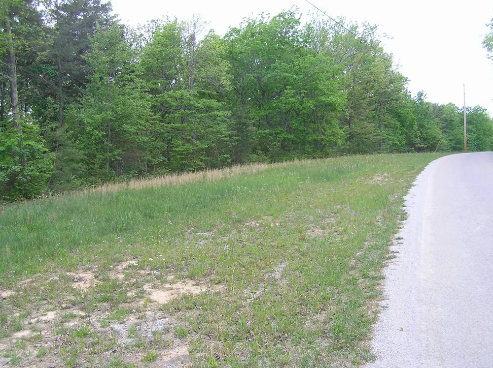 100 Valley View Drive Altamont, TN 37301