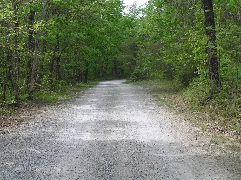 100 Valley View Drive Altamont, TN 37301