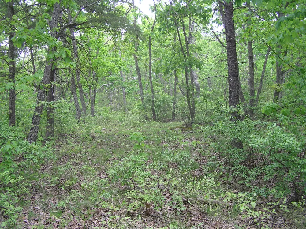 100 Valley View Drive Altamont, TN 37301