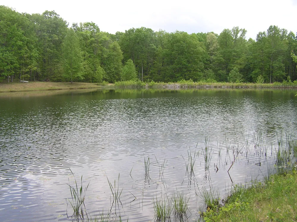 100 Valley View Drive Altamont, TN 37301