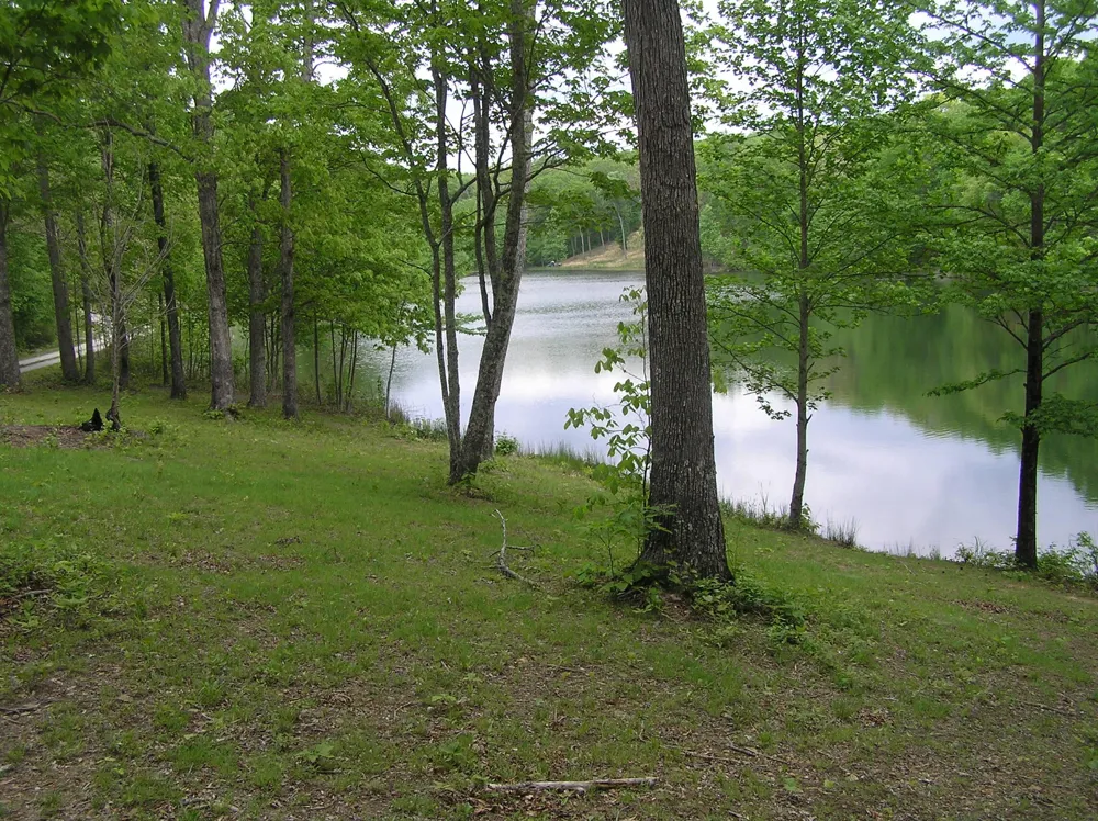 100 Valley View Drive Altamont, TN 37301
