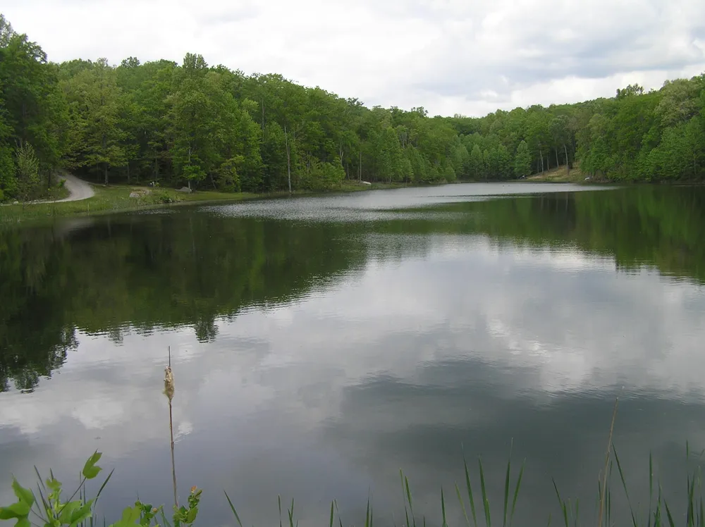 100 Valley View Drive Altamont, TN 37301