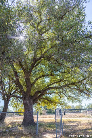6623 Starks Mason, TX 76856