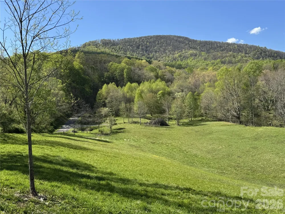 Lot 47B Elk Creek Mountain Parkway Todd, NC 28684