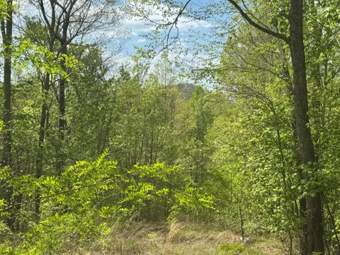 Falls View Drive