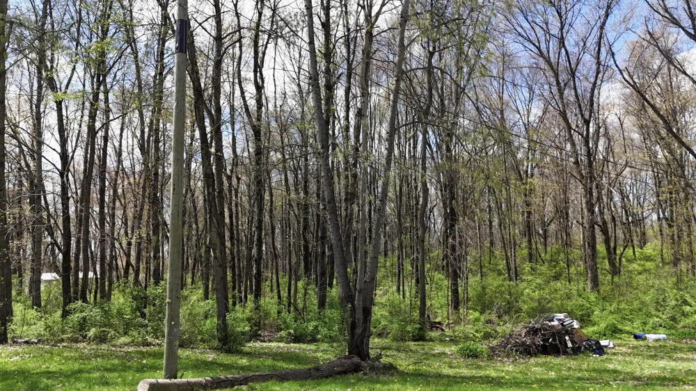 56896 Sunnyside Avenue Lagrange Township, MI 49031