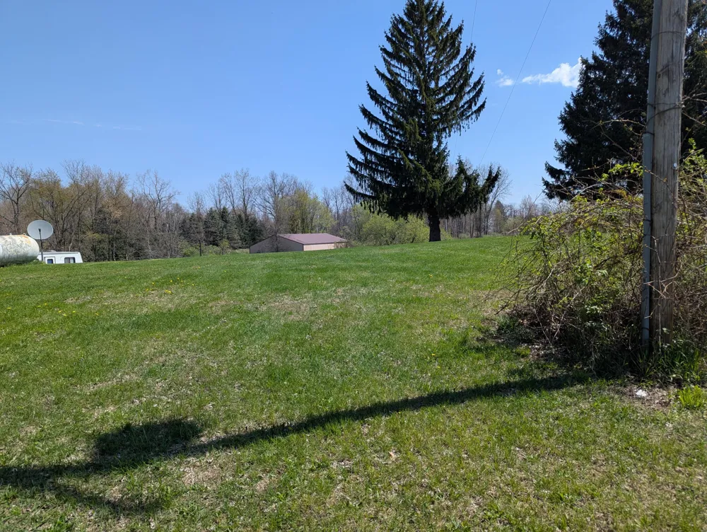 13421 Woerner Road Rollin Township, MI 49253