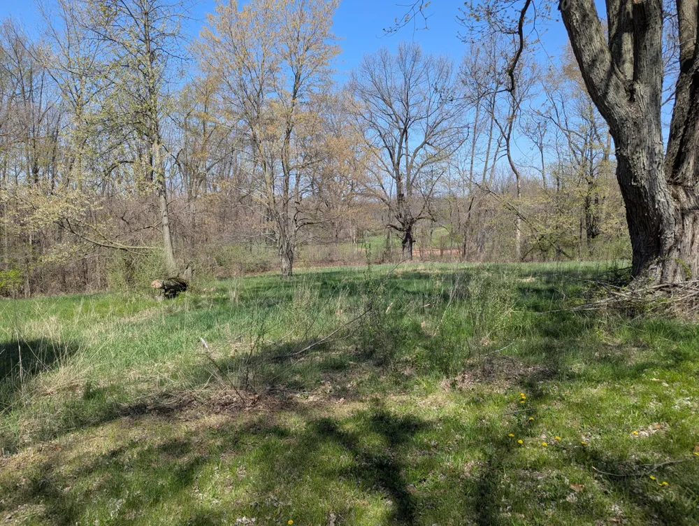 13421 Woerner Road Rollin Township, MI 49253