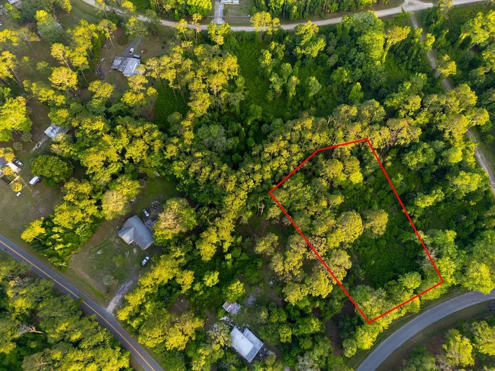 172 WHISPERING PINES ROAD Georgetown, FL 32139
