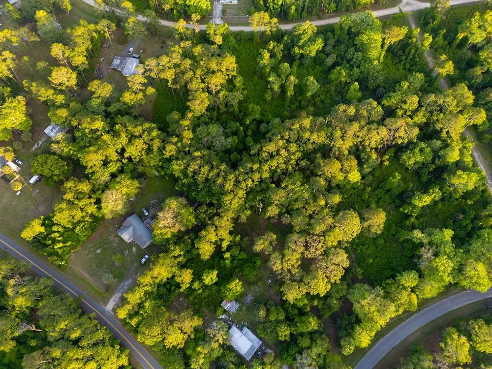 172 WHISPERING PINES ROAD Georgetown, FL 32139