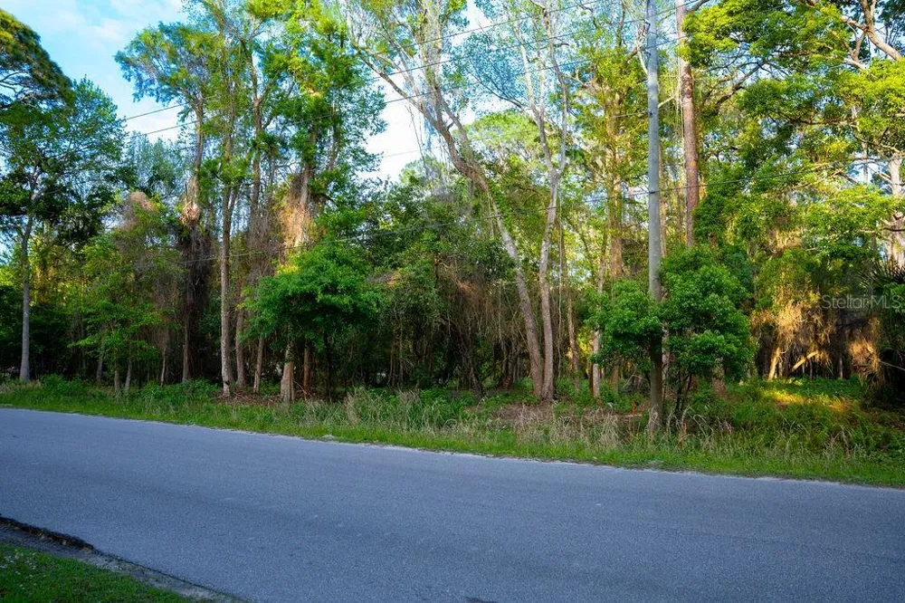 172 WHISPERING PINES ROAD Georgetown, FL 32139