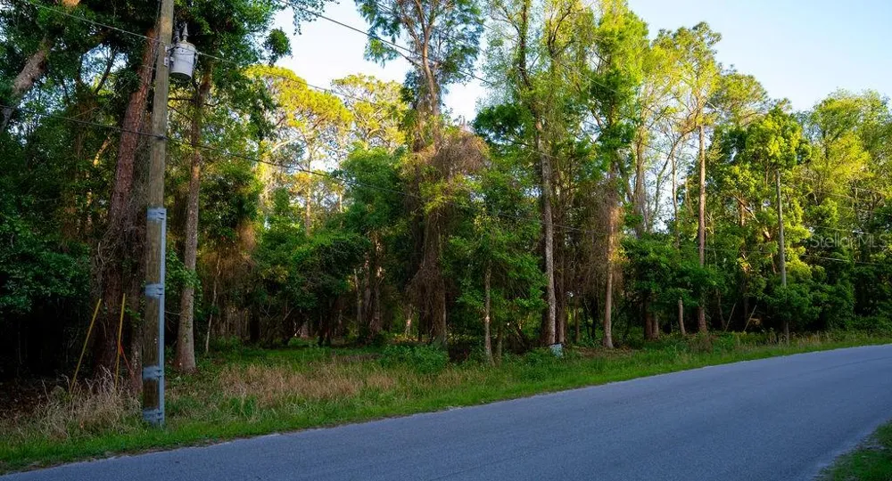 172 WHISPERING PINES ROAD Georgetown, FL 32139