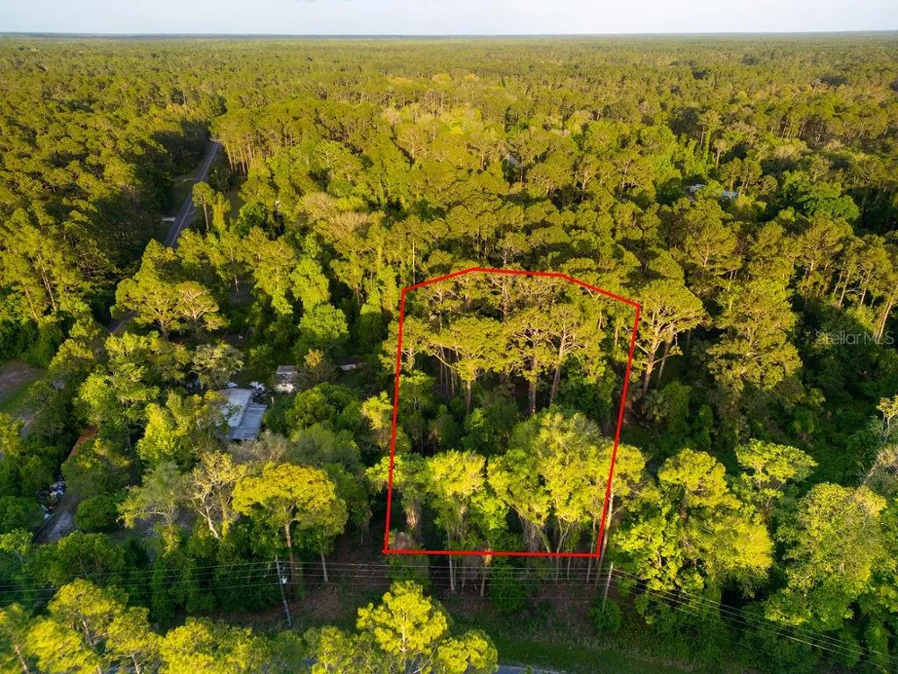172 WHISPERING PINES ROAD Georgetown, FL 32139