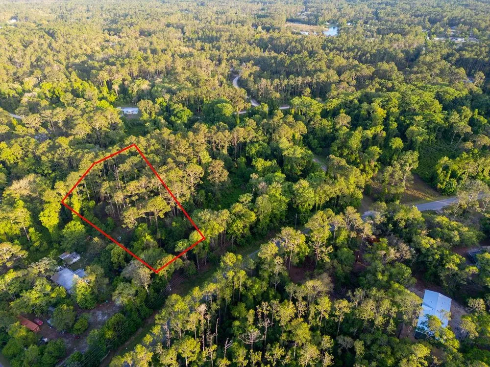 172 WHISPERING PINES ROAD Georgetown, FL 32139