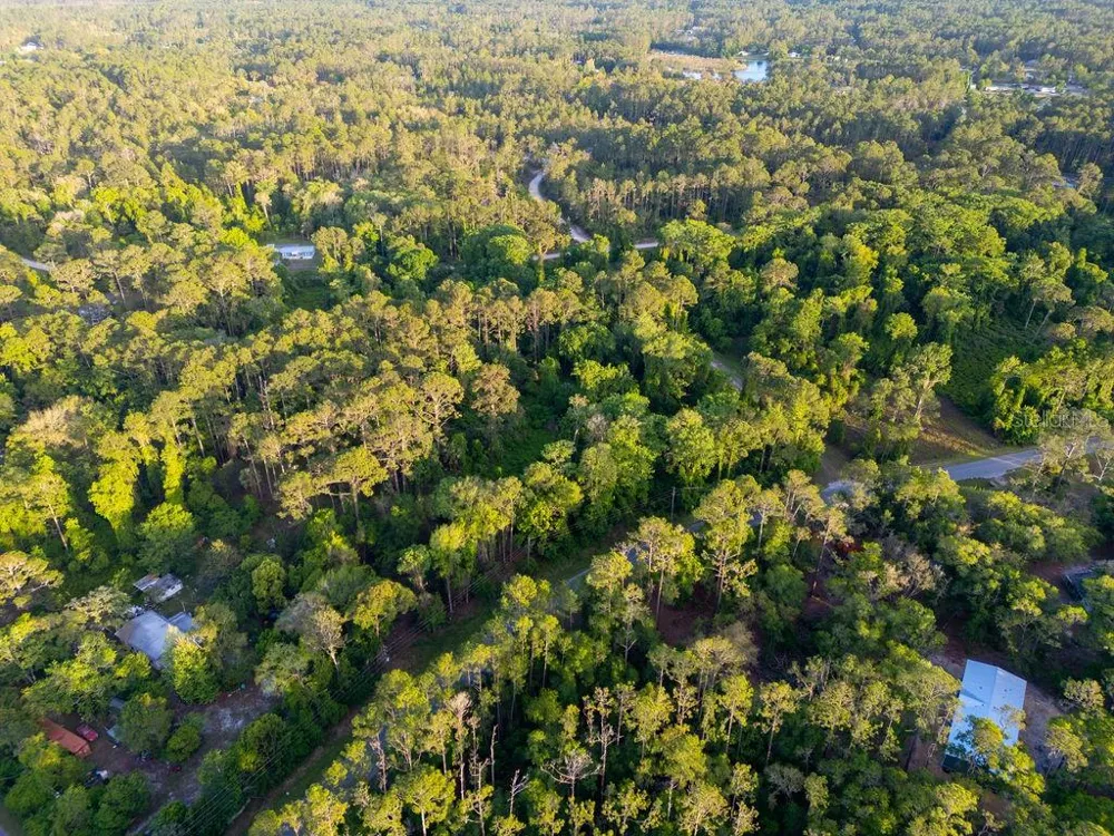 172 WHISPERING PINES ROAD Georgetown, FL 32139