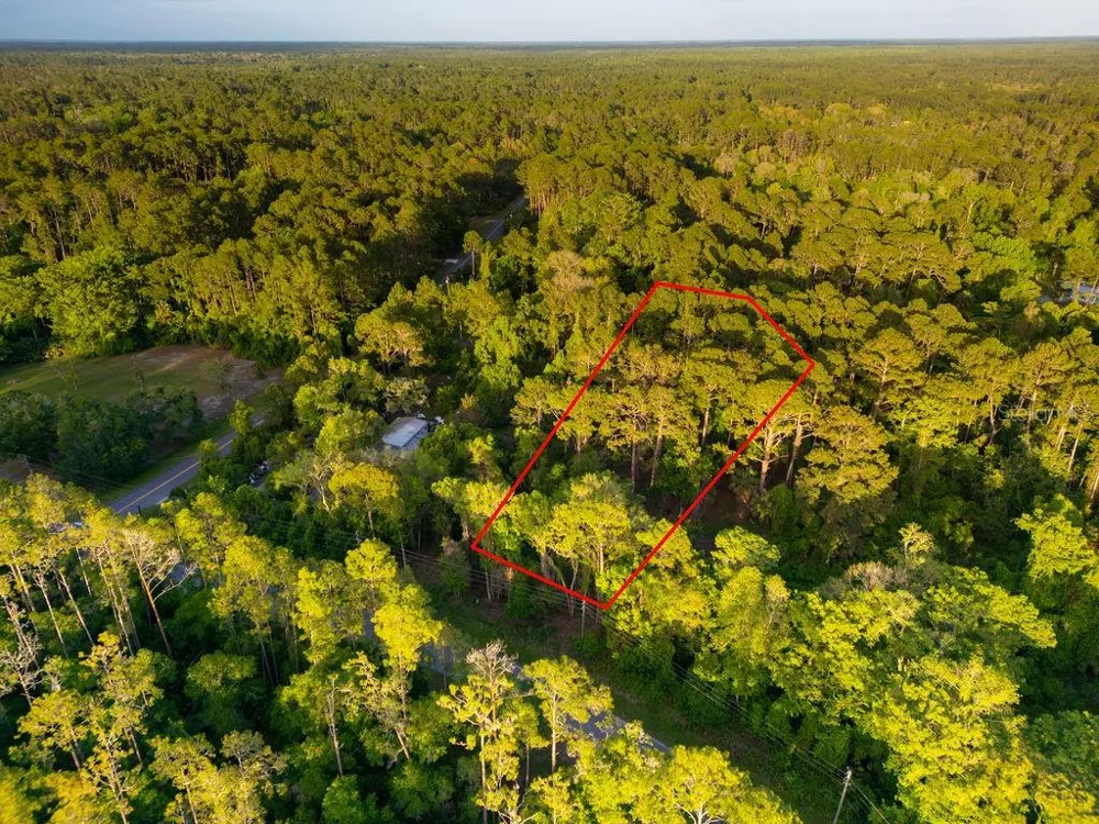 172 WHISPERING PINES ROAD Georgetown, FL 32139