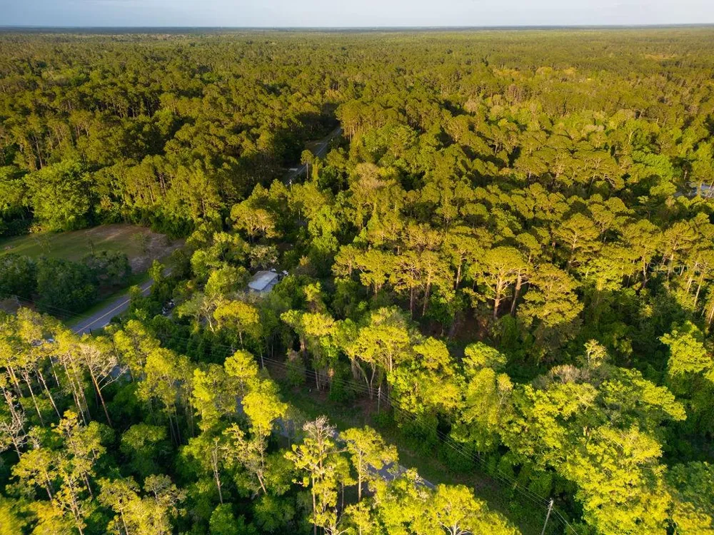 172 WHISPERING PINES ROAD Georgetown, FL 32139