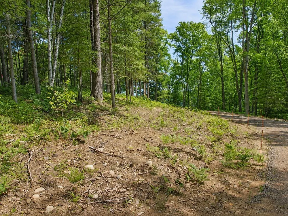 0 Ranch Road Stone Lake, WI 54876