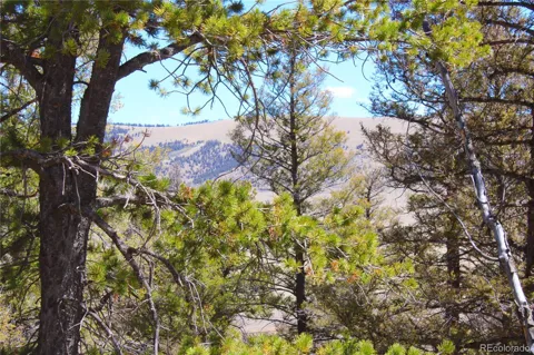 2882 Middle Fork Vista