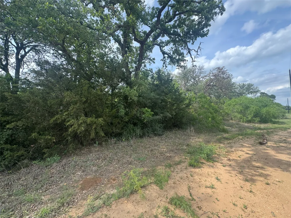 104 Cisco Court Cedar Creek, TX 78612