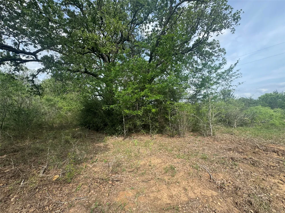 104 Cisco Court Cedar Creek, TX 78612