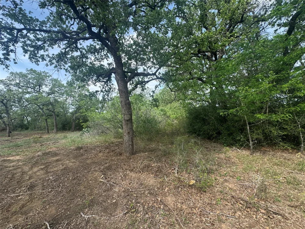 104 Cisco Court Cedar Creek, TX 78612