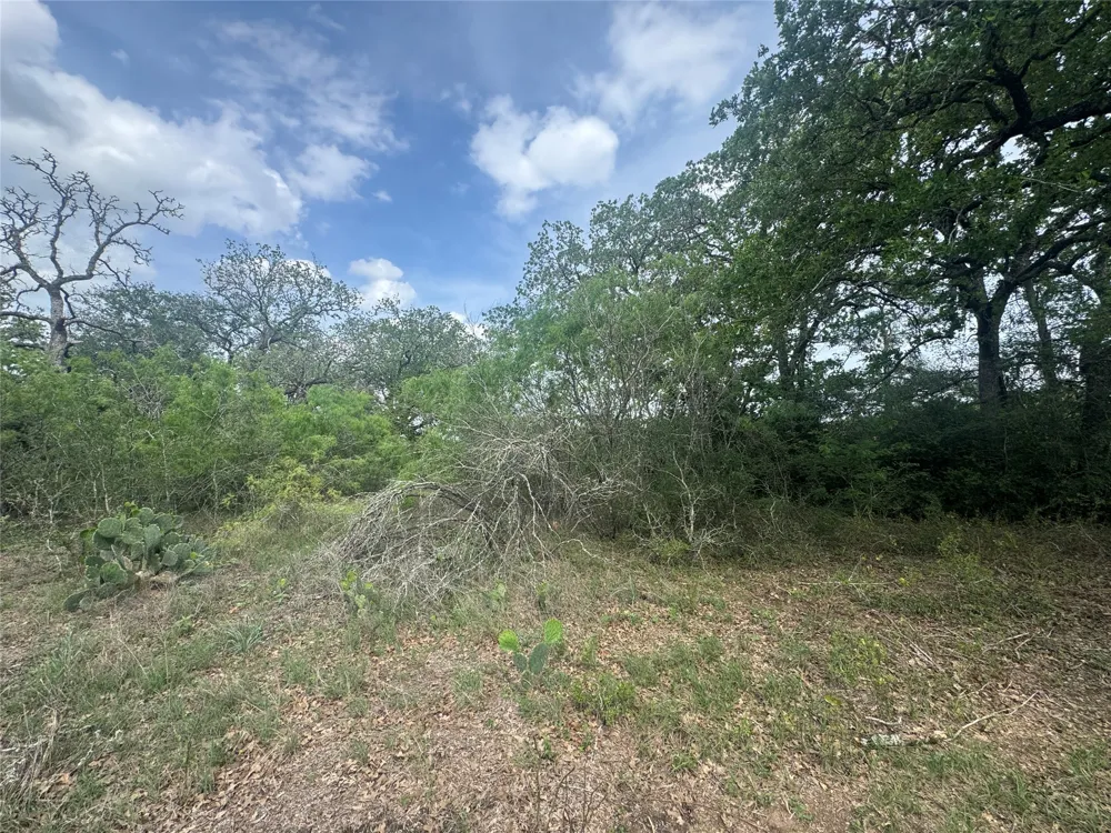 104 Cisco Court Cedar Creek, TX 78612