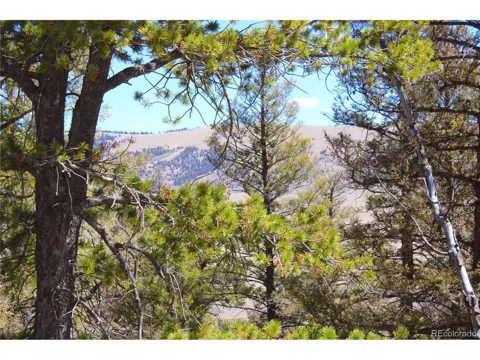 2882 Middle Fork Vis